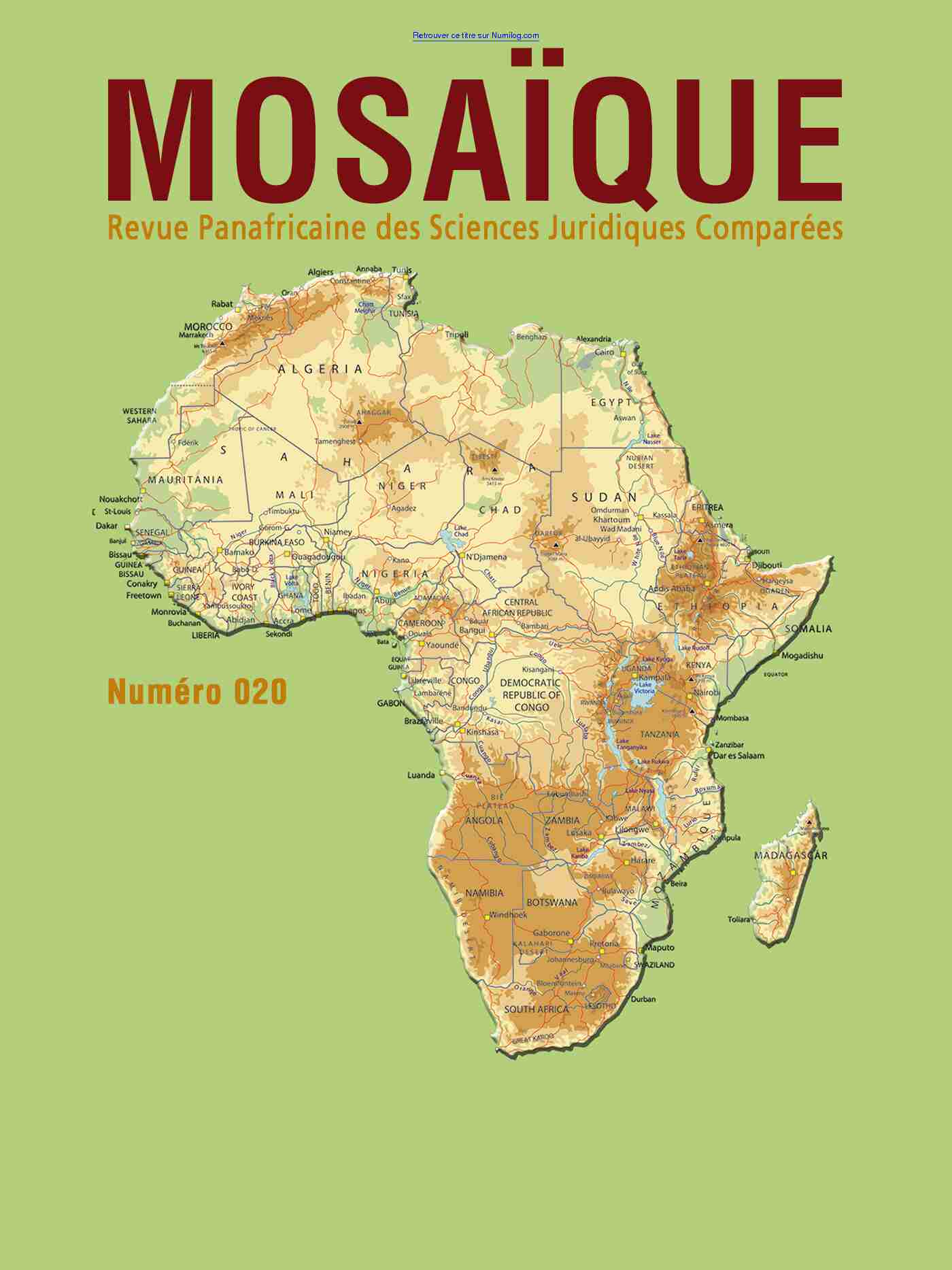 Mosaïque : Revue panafricaine des sciences juridiques comparés