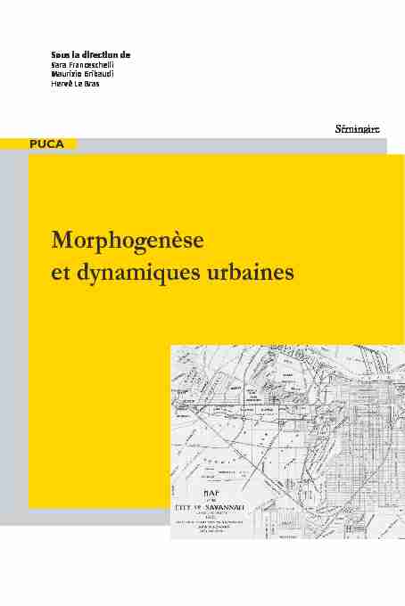 Morphogenèse et dynamiques urbaines