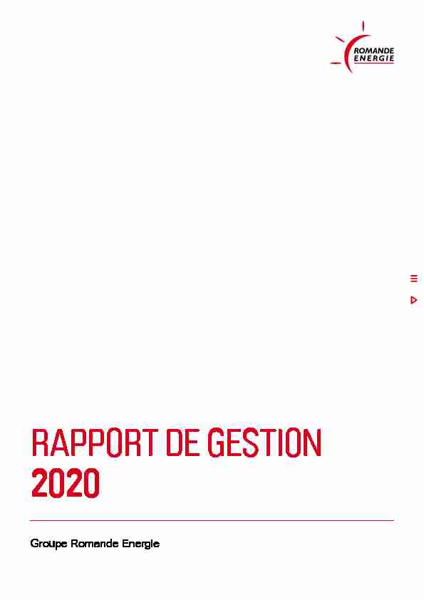 RAPPORT DE GESTION 2020