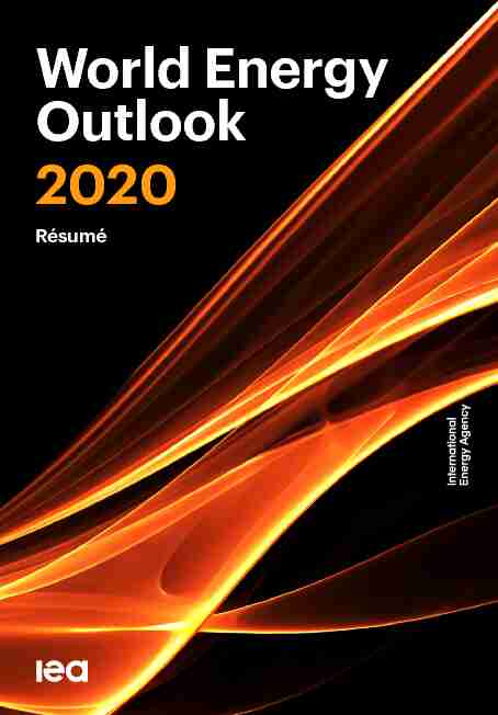 [PDF] World Energy Outlook 2020 - NET