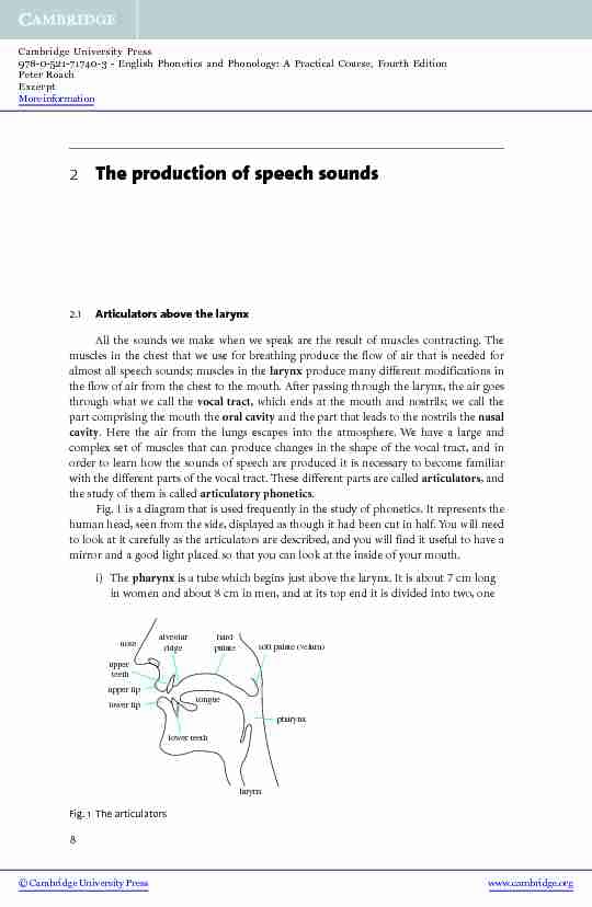 2 The production of speech sounds