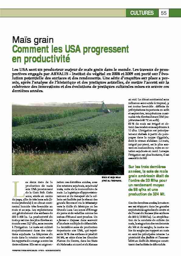 Maïs grain - Comment les USA progressent en productivité
