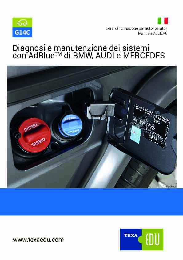 Diagnosi e manutenzione dei sistemi con AdBlueTM di BMW AUDI