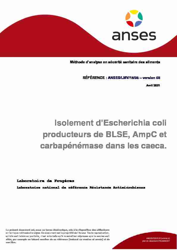 Isolement dEscherichia coli producteurs de BLSE AmpC et