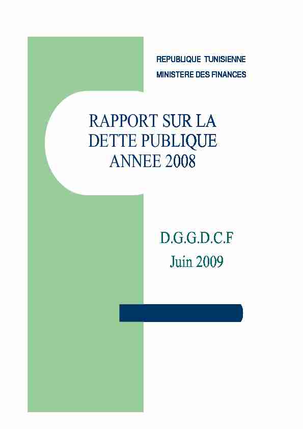Rapport dette final 2008