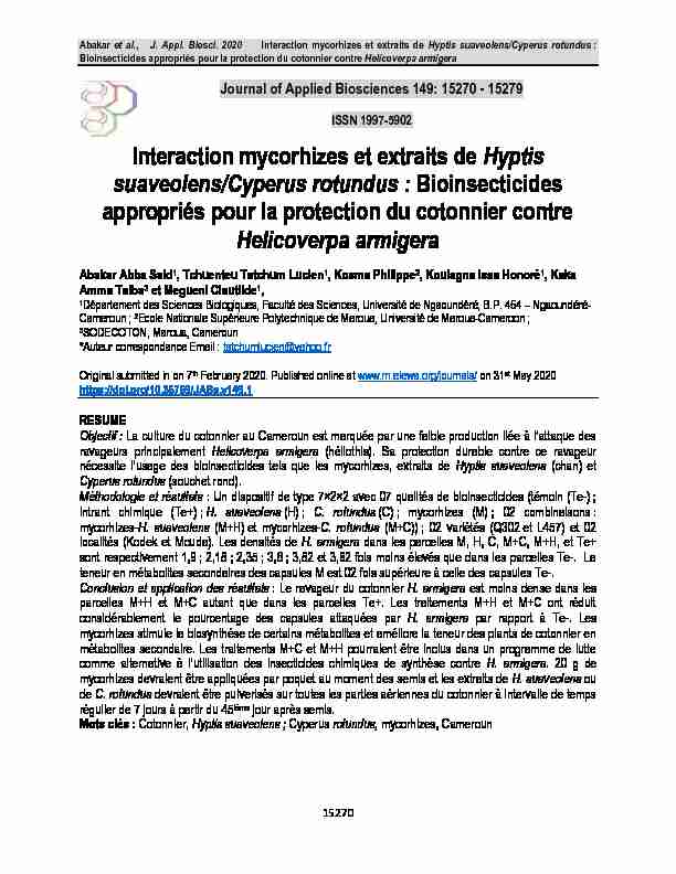 Interaction mycorhizes et extraits de Hyptis suaveolens/Cyperus