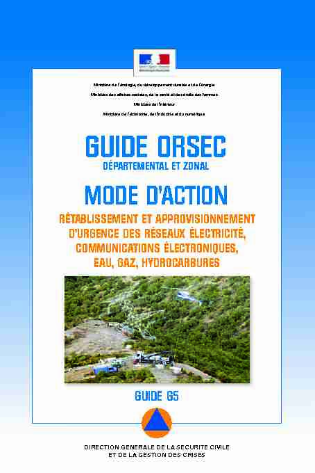 Guide ORSEC RETAP RESEAUX.pdf