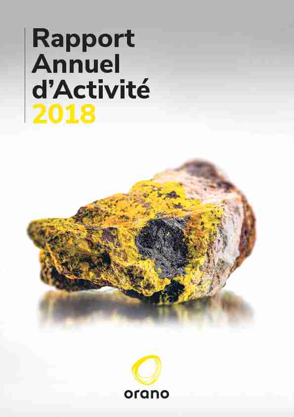 Rapport Annuel dActivité