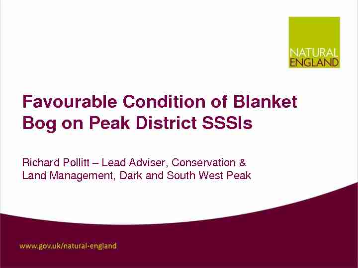 Natural England standard PowerPoint template