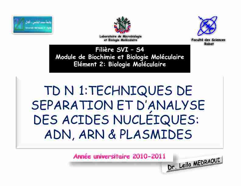 [PDF] Biologie Moléculaire - Faculté des Sciences de Rabat
