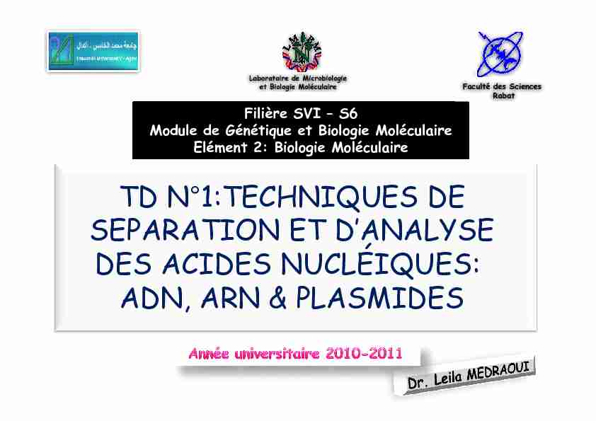 [PDF] Biologie Moléculaire - Faculté des Sciences de Rabat