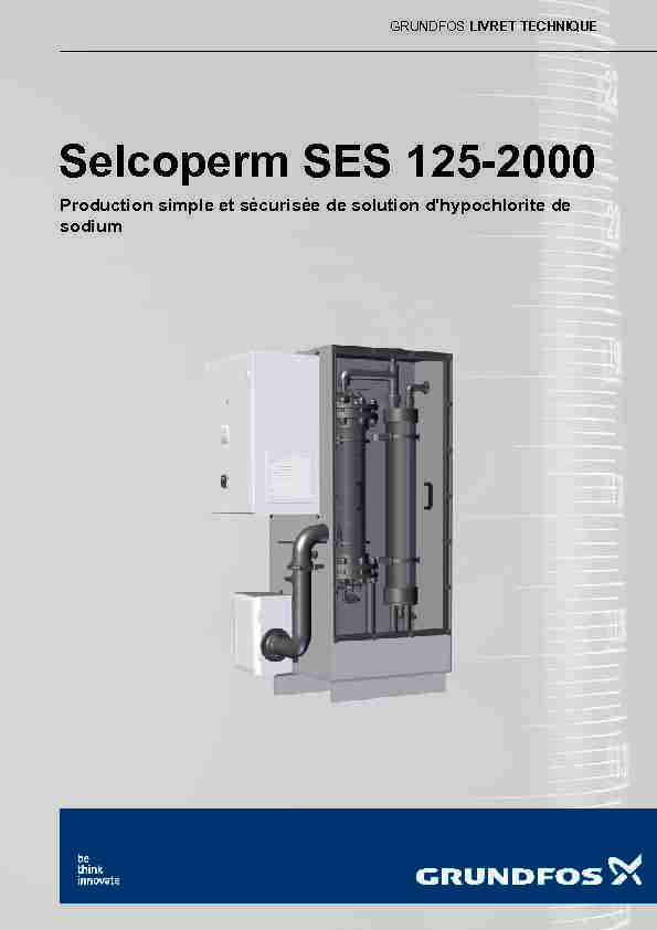 Selcoperm SES 125-2000
