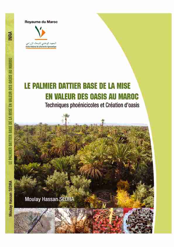 Le Palmier Dattier base de la mise en valeur des oasis au Maroc