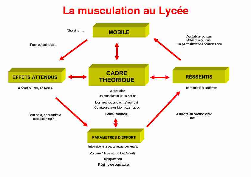 La musculation au Lycée - ac-dijonfr
