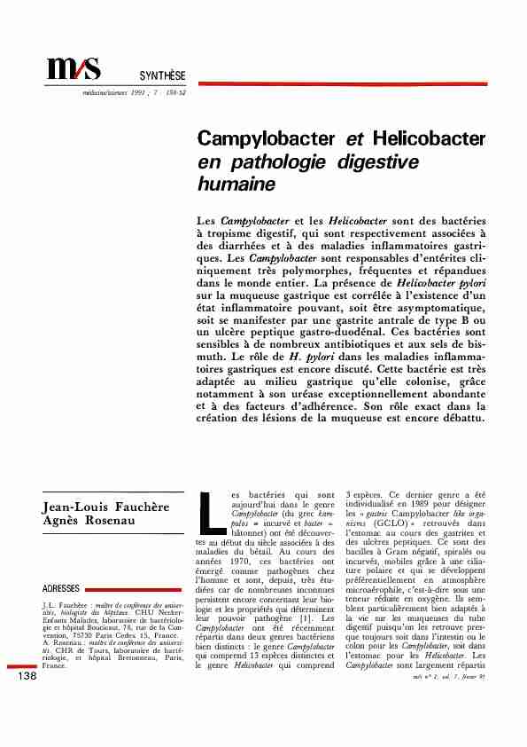 Campylobacter et Helicobacter en pathologie digestive humaine