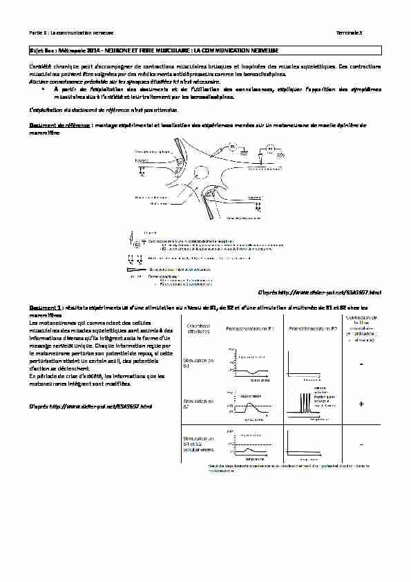 Sujet-bac-Synapse-2014.pdf