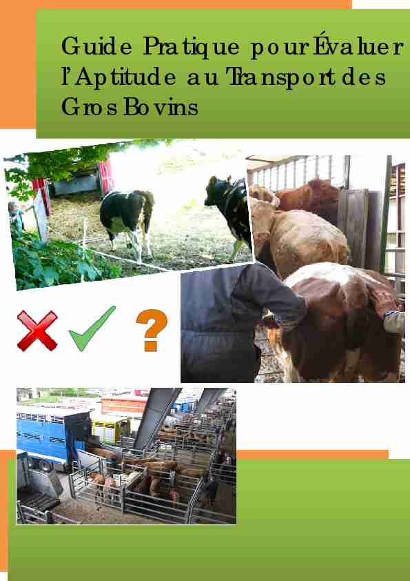 Guide pratique pour évaluer laptitude au transport des gros bovins