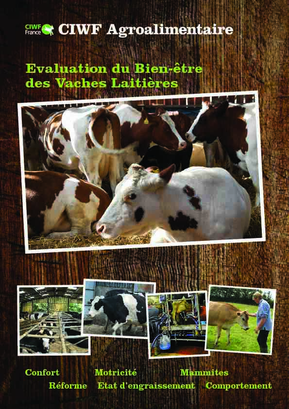 Evaluation du Bien-être des Vaches Laitières