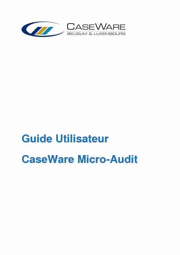 Guide Utilisateur CaseWare Micro-Audit - HubSpot