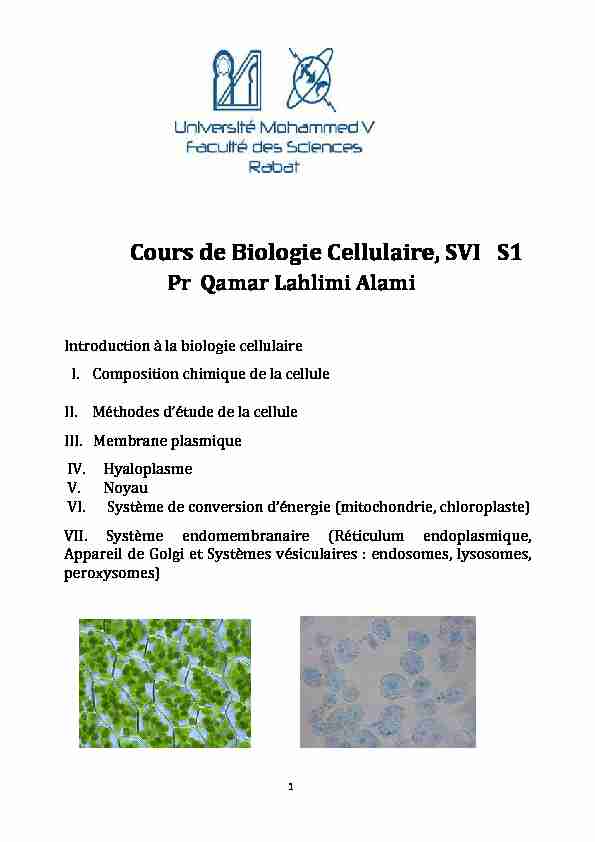 Cours de Biologie Cellulaire SVI S1 - Pr Qamar Lahlimi Alami