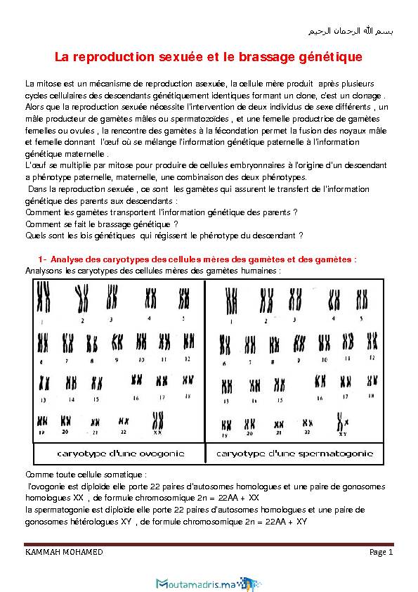 Searches related to le brassage allélique induit par la méiose filetype:pdf