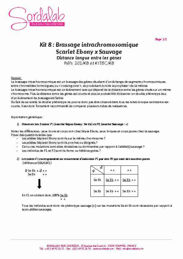 Kit 8 : Brassage intrachromosomique Scarlet Ebony x Sauvage