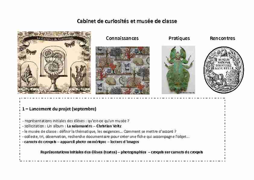 [PDF] Cabinet de curiosités et musée de classe