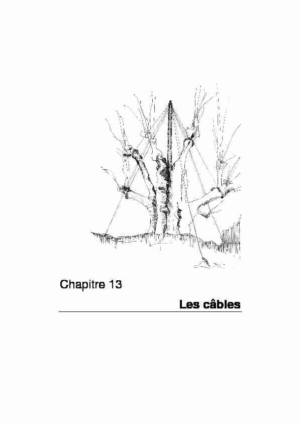 [PDF] Chapitre 13 Les câbles - ISSD