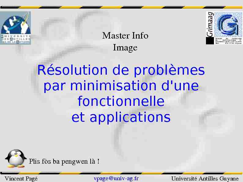 [PDF] Résolution de problèmes par minimisation dune fonctionnelle et