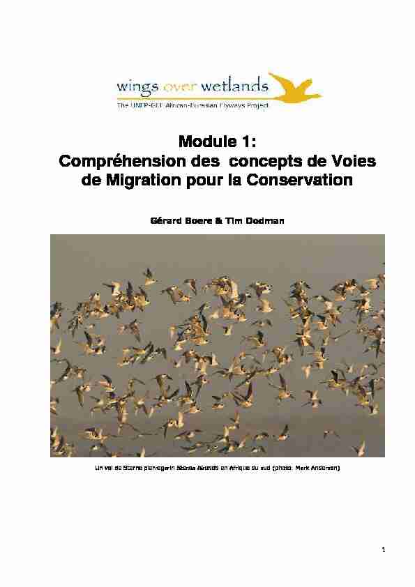 Module 1: Compréhension des concepts de Voies de Migration pour