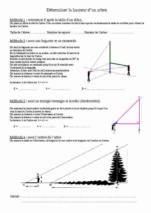 [PDF] Déterminer la hauteur dun arbre