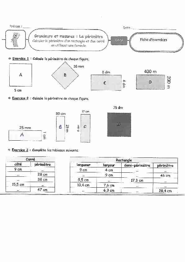 exercices-périmètre-cm2.pdf