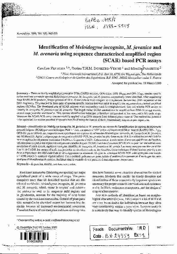 Identification of Meloidogyne incognita M. javanica and M. arenaria