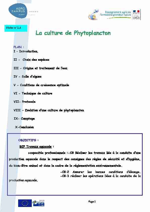 Culture phytoplancton