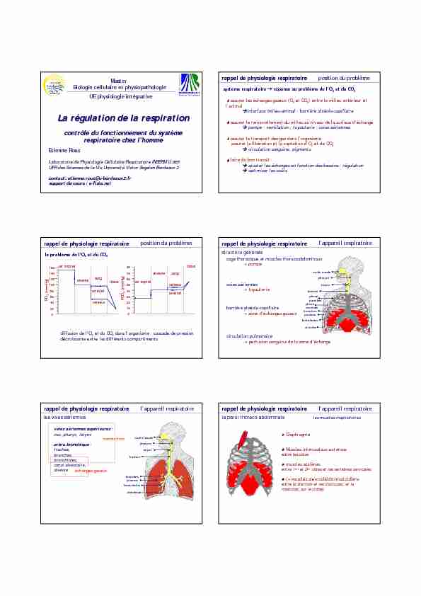 [PDF] La régulation de la respiration - e-fisio