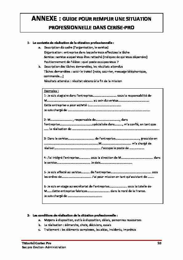 [PDF] guide-pour-remplir-une-situation-professionnelle-dans-cerise-propdf