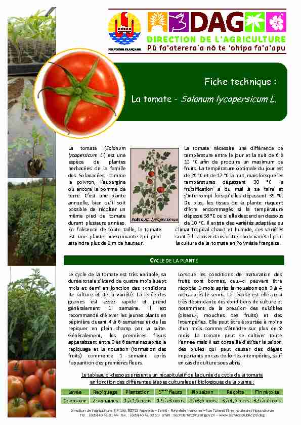 [PDF] Tomate - Culture