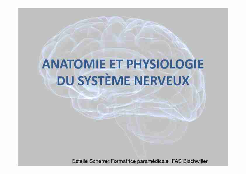 ANATOMIE-PHYSIOLOGIE DU SYSTEME NERVEUX