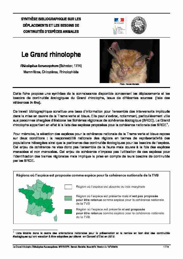 [PDF] Grand rhinolophe - Sonneur à ventre jaune