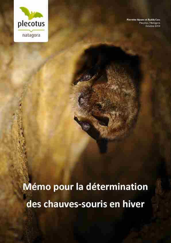 [PDF] Mémo pour la détermination des chauves-souris en hiver - Plecotus