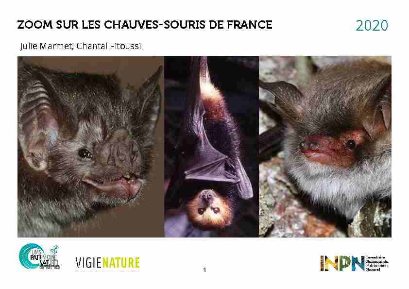 [PDF] Zoom sur les Chauves-souris de FranCe - INPN