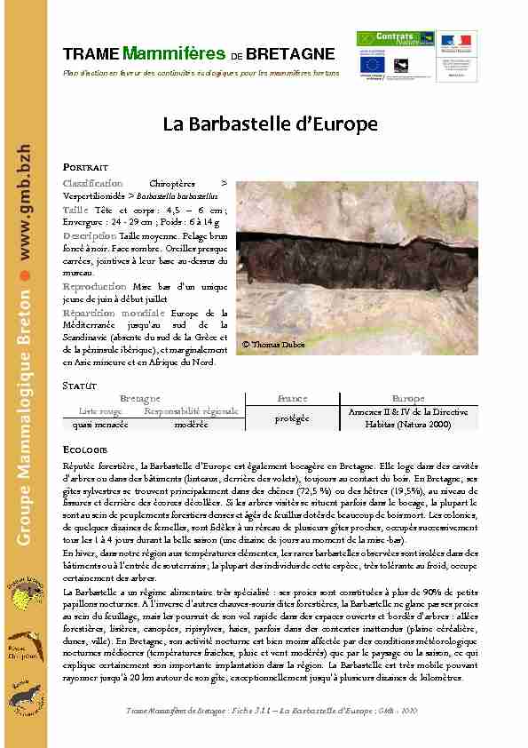 [PDF] La Barbastelle dEurope