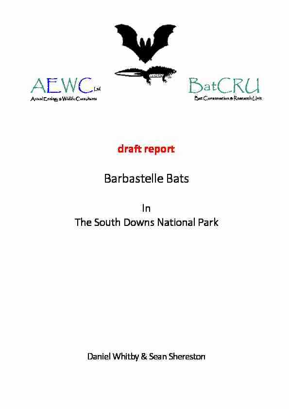 Barbastelle Bats in South Downs National Park