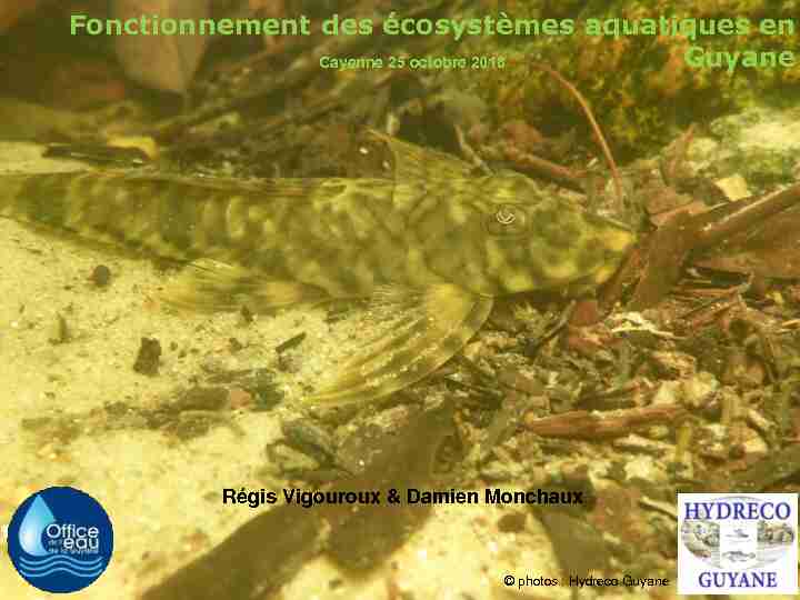 [PDF] Fonctionnement des écosystèmes aquatiques en Guyane