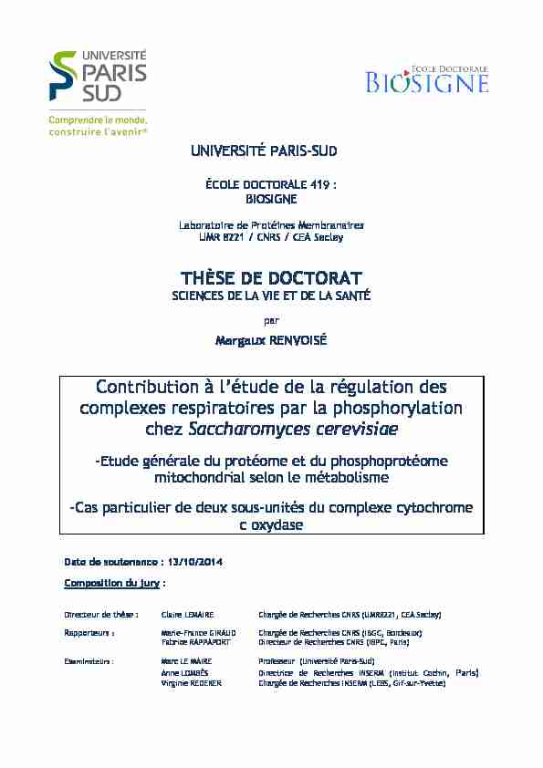 [PDF] université paris-sud - Thesesfr