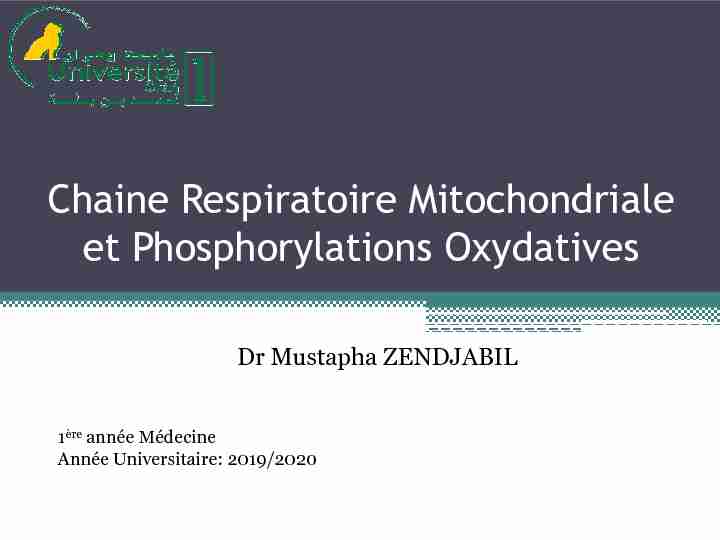 [PDF] Chaine Respiratoire Mitochondriale et Phosphorylations Oxydatives