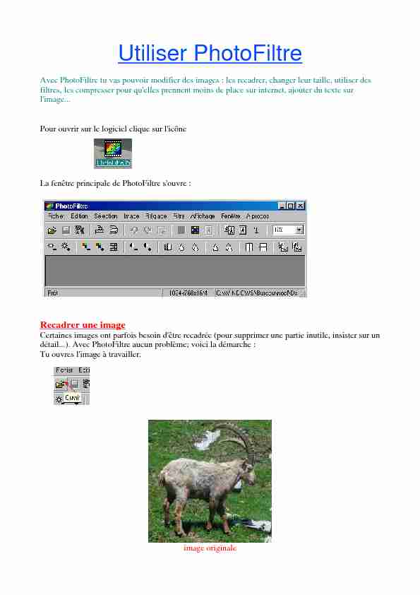 [PDF] Utiliser PhotoFiltre