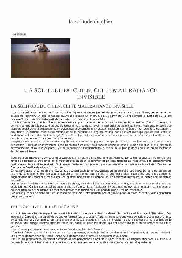 INVISIBLE LA SOLITUDE DU CHIEN, CETTE MALTRAITANCE
