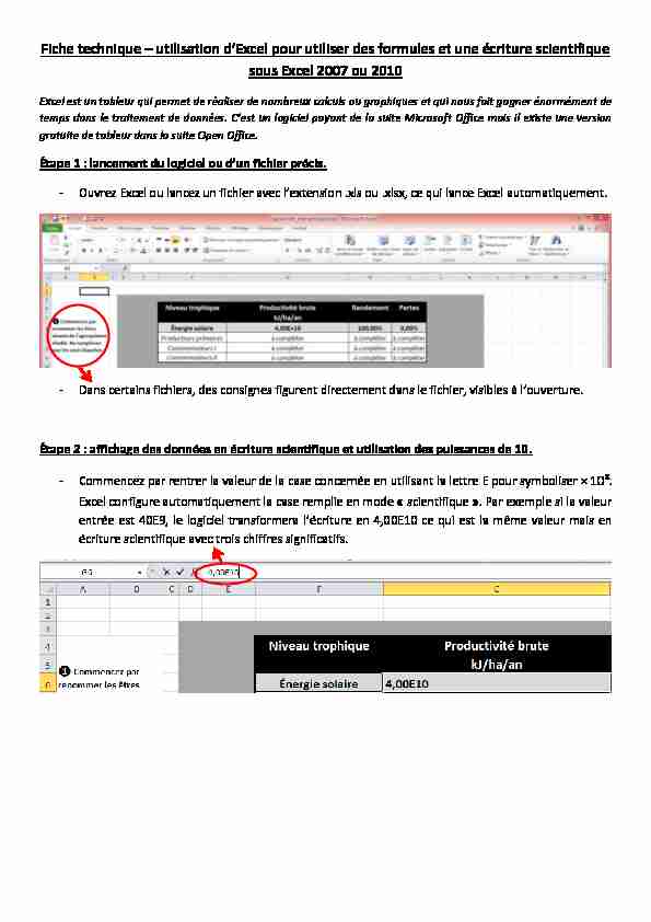 [PDF] utilisation dExcel pour utiliser des formules et une écriture