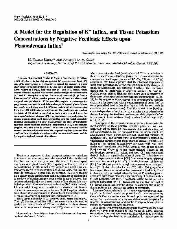 A Model for the Regulation of K  Influx and Tissue Potassium